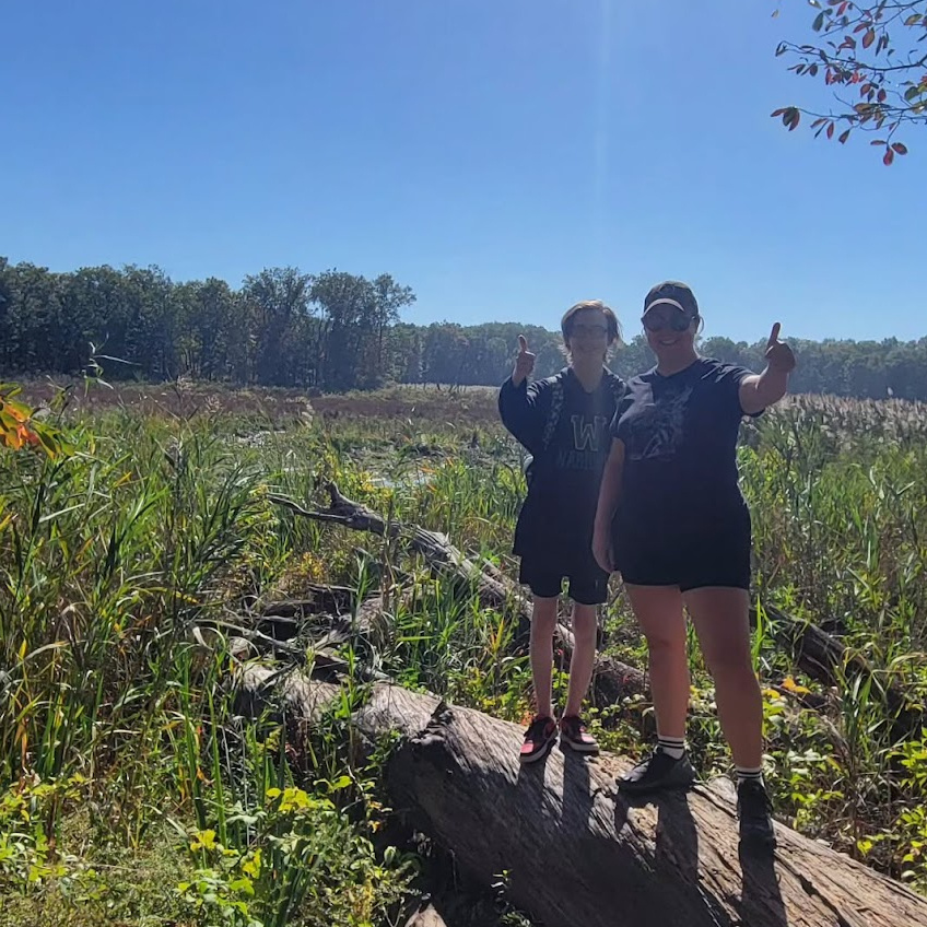 hiking the indiana dunes hiking the indiana dunes